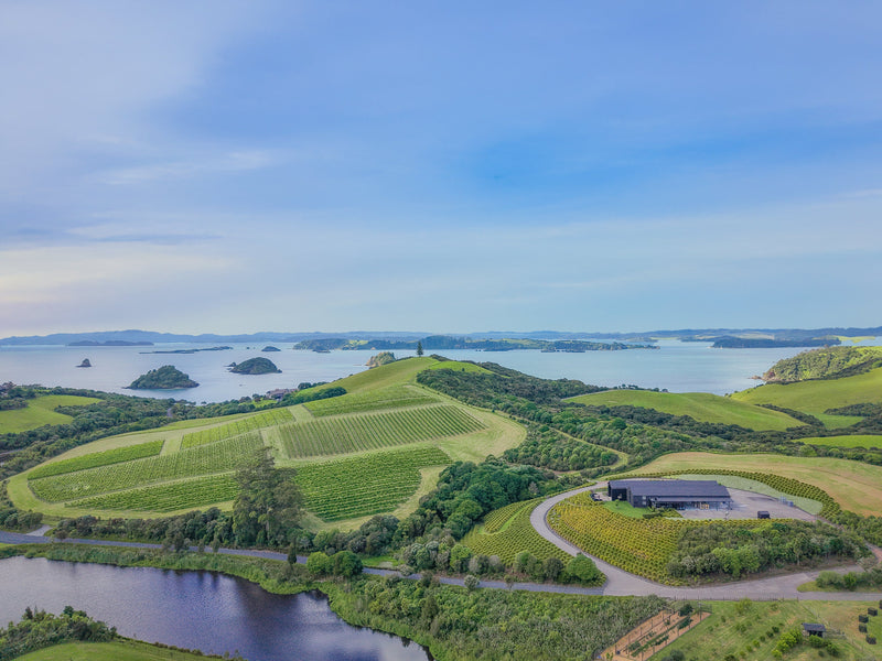 The Landing Featured in Decanter